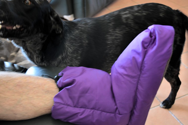 testing the fit of the finished down boot.   Dog is getting desperate for a hyperactivity break